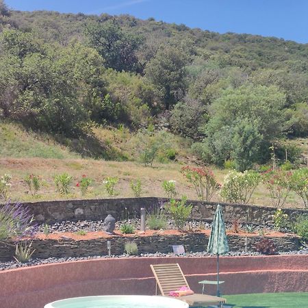 Le Havre De Paix Villa Ceret Bagian luar foto