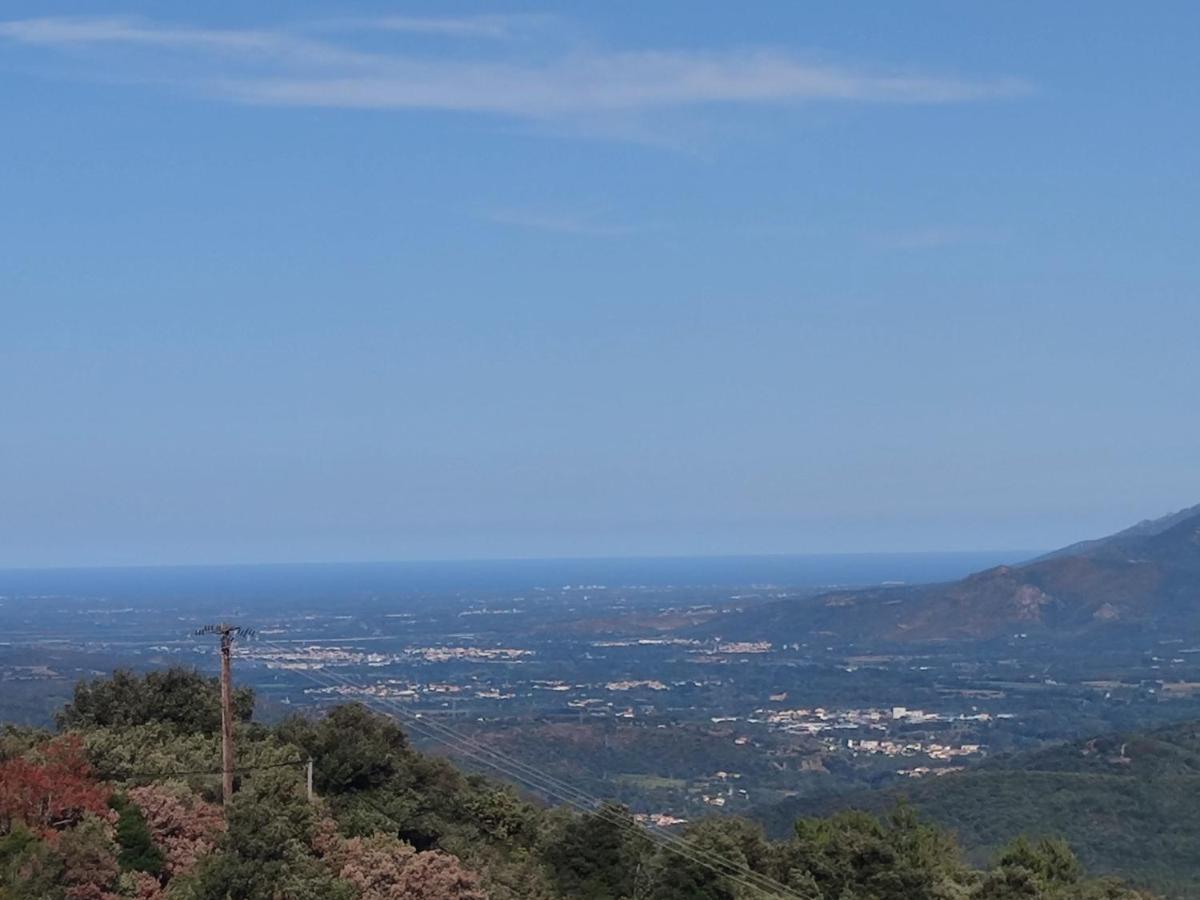 Le Havre De Paix Villa Ceret Bagian luar foto