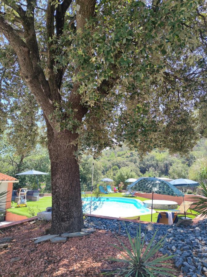 Le Havre De Paix Villa Ceret Bagian luar foto