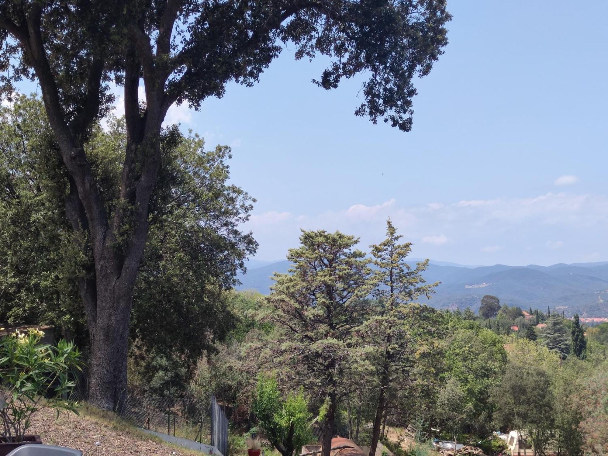 Le Havre De Paix Villa Ceret Bagian luar foto